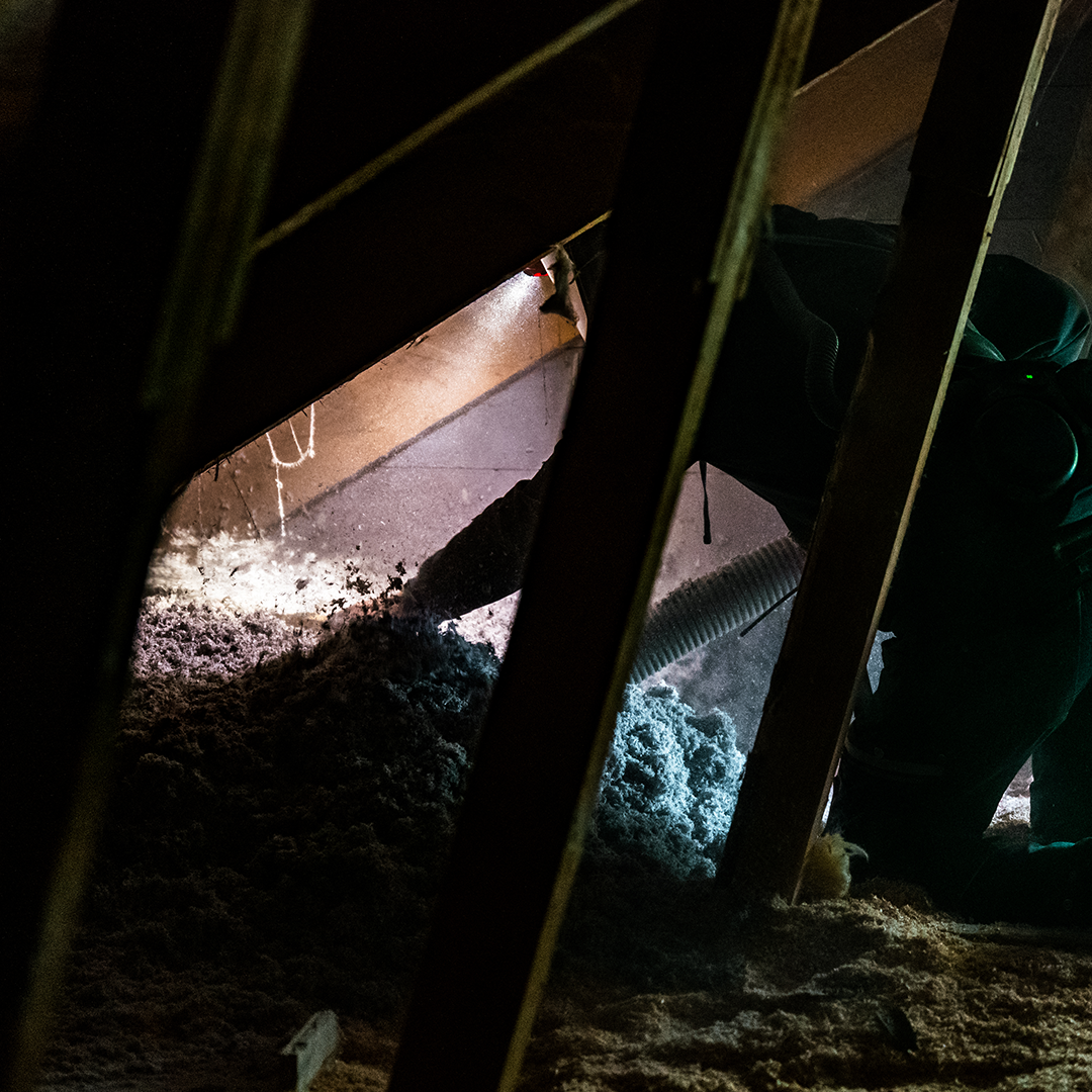 Installatör från Isolerab sprutar in cellulosaisolering på vind